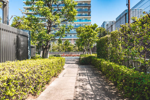 Empty footpath in park